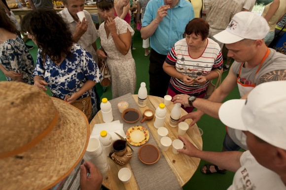  Дегустация молочных продуктов. 