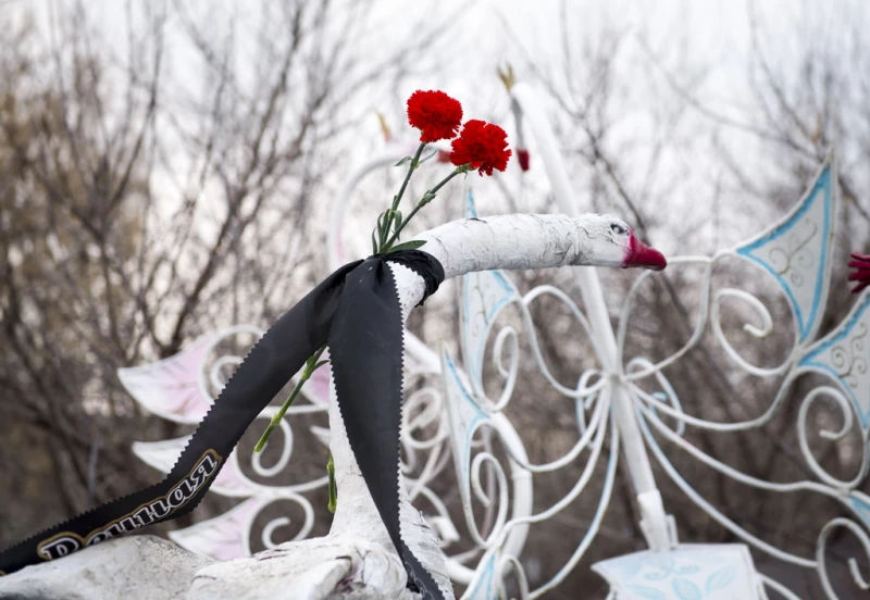 На лебеде "Андрюше" появилась траурная лента в память о Валерии Метелице. Анна Зайкова