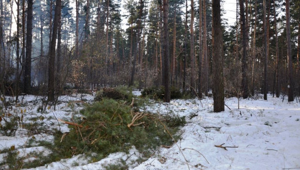 Новогодние Деревенские Картинки Новогодние Деревенские Картинки