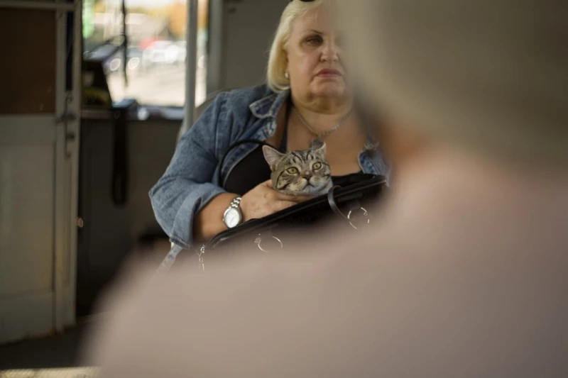 Женщина с кошкой в трамвае "5". vk.com/inalley