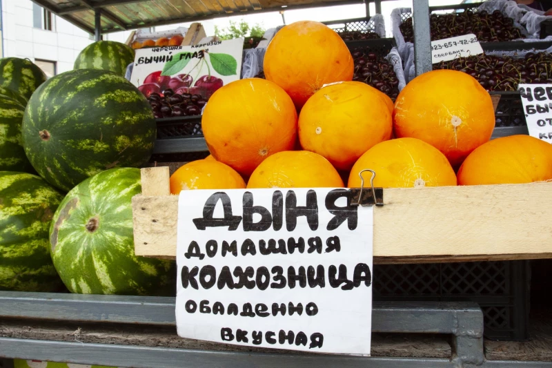 «Любитель кукурузки» и обалденные дыни. 9 хороших новостей июля в Алтайском крае