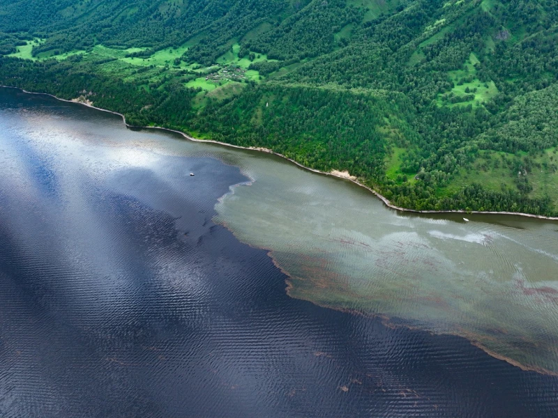 Параллельные миры Телецкого озера. altzapovednik.ru