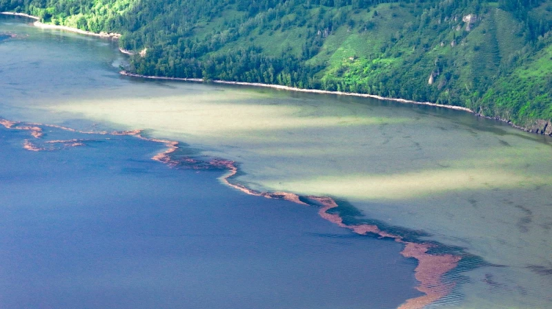 Параллельные миры Телецкого озера. altzapovednik.ru