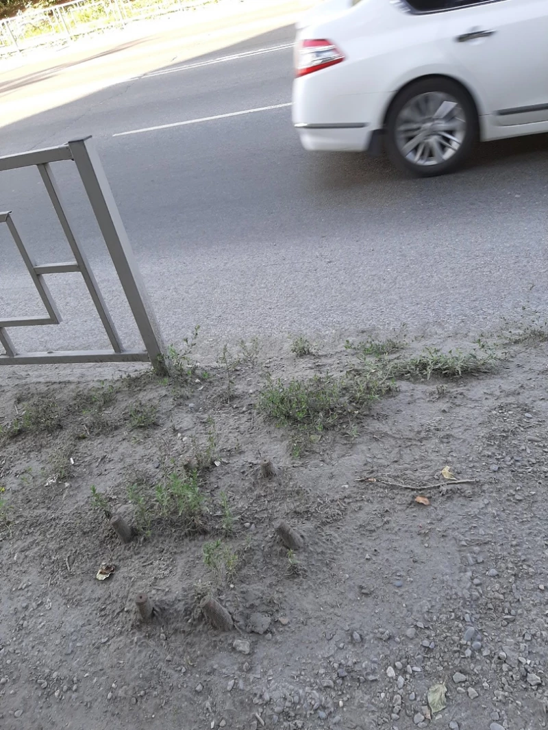 Состояние пешеходного тротуара на пр.Калинина. altapress.ru