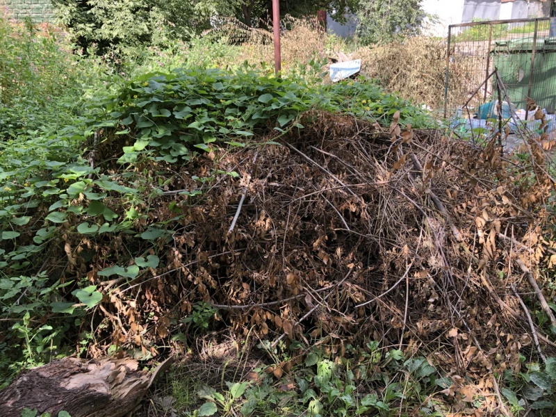 Огромная помойка с унитазами выросла в центре Барнаула и стоит там с весны. Дмитрий Лямзин