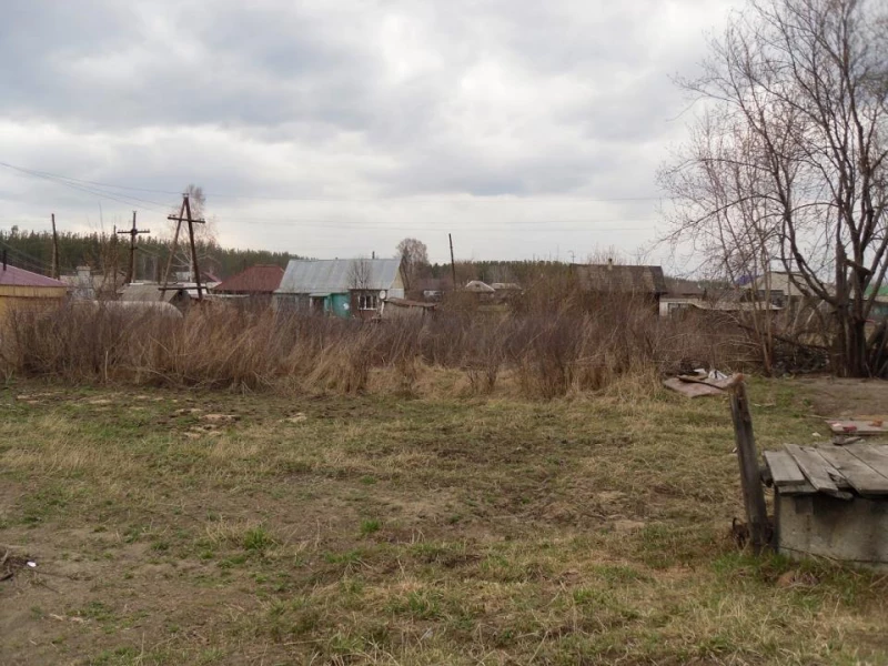 Алтайское село Крутиха. wikimapia.org/ojkumena