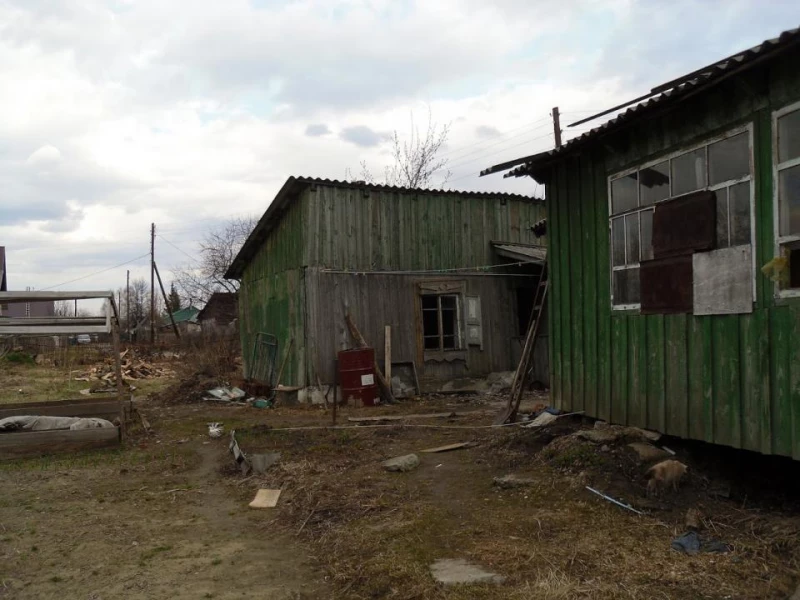 Алтайское село Крутиха. wikimapia.org/ojkumena