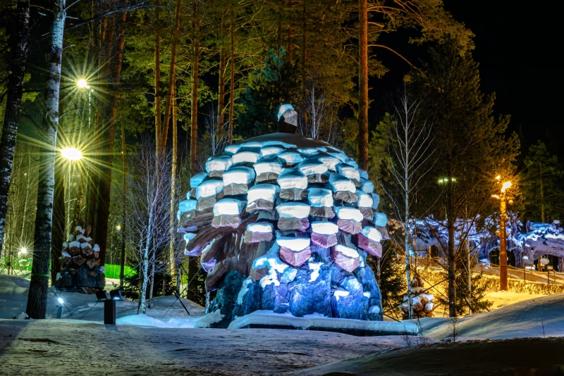 В Республике Алтай открывается ослепительный парк приключений «Дримвуд» Денис Мальцев