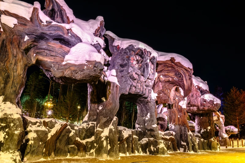 В Республике Алтай открывается ослепительный парк приключений «Дримвуд» Денис Мальцев