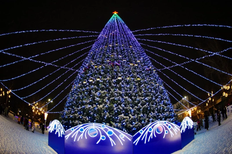 Открытие новогодней елки на пл. Свободы. Дмитрий Лямзин