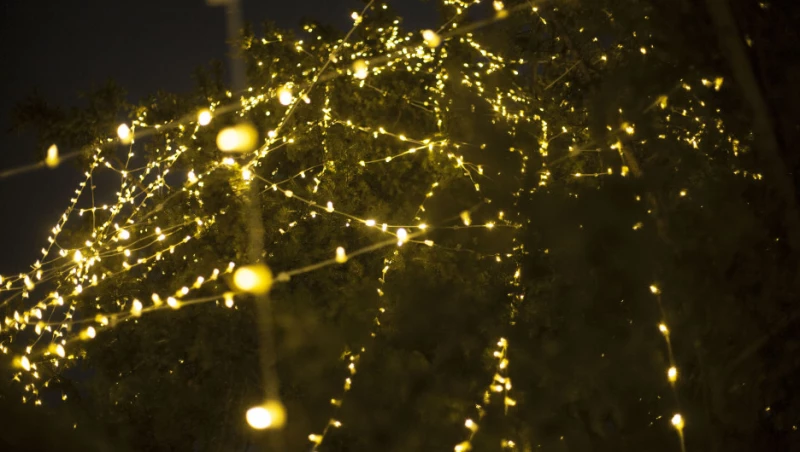 Украшенный Барнаул, 2025 год. Дарья Беркетова