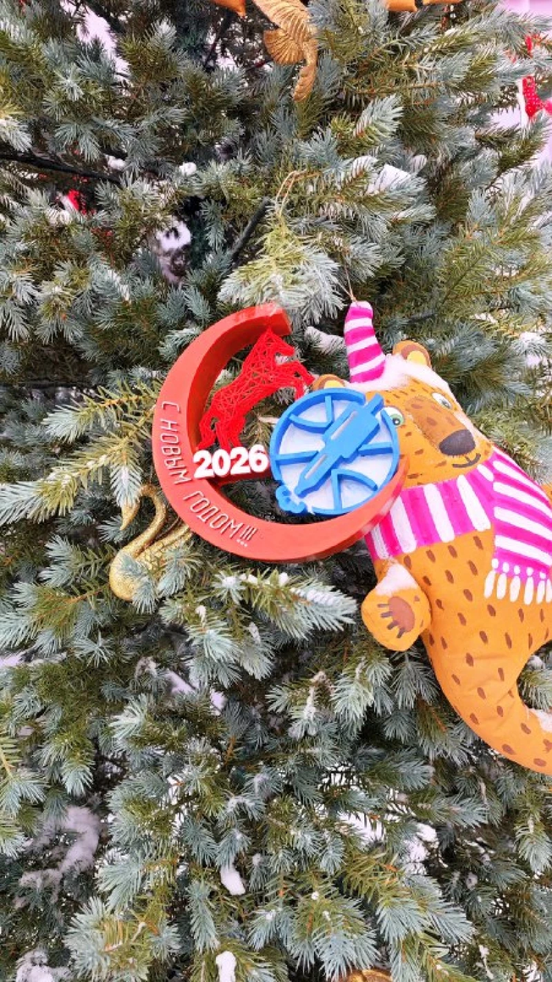 Открытие елки в Барнаульском зоопарке.  Барнаульский зоопарк