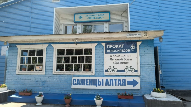 «Динамо» лыжная база Анастасия Панченко