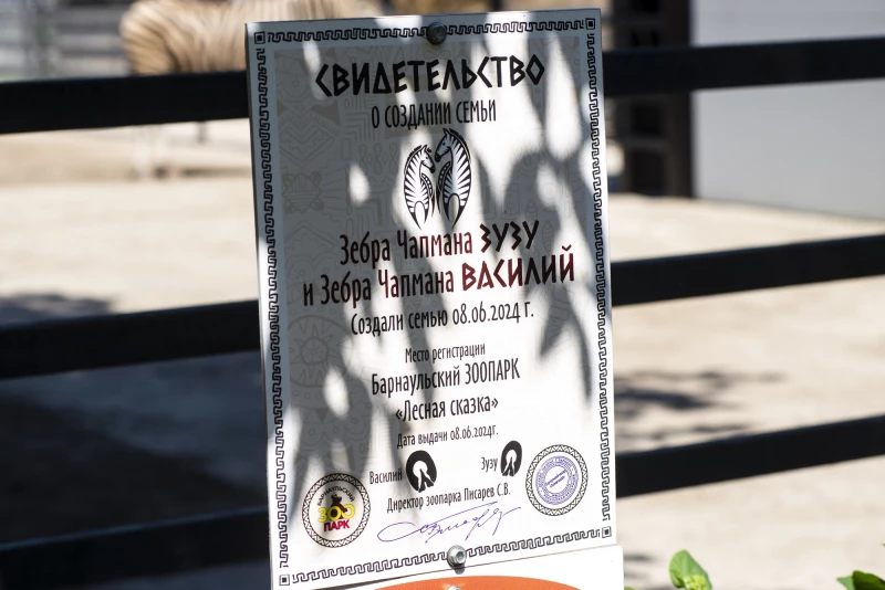 Животных в Барнаульском зоопарке спасают от жары. Анна Зайкова
