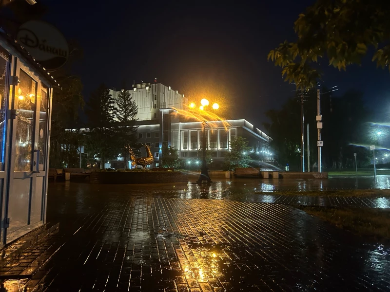 Барнаул во время дождя ночью. Мария Берникова
