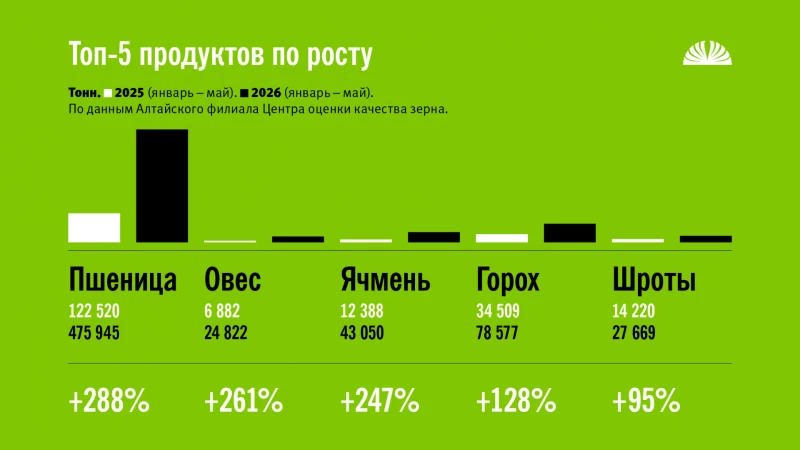 Экспорт продукции АПК из Алтайского края. Январь-май 2025 и 2026 года. Алтайский филиал ЦОК АПК, Altapress.ru