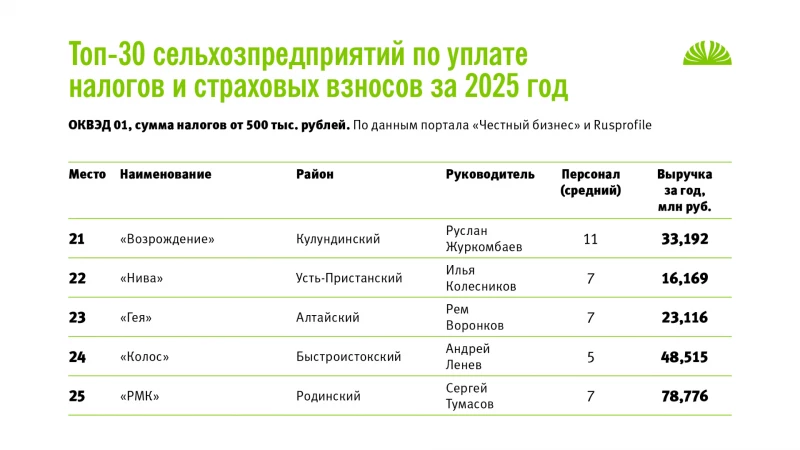 Топ-30 хозяйств Алтайского края по налоговым отчислениям за 2025 год. Данные порталов «Честный бизнес», Rusprofile. Altapress.ru, портал «Честный бизнес», Rusprofile