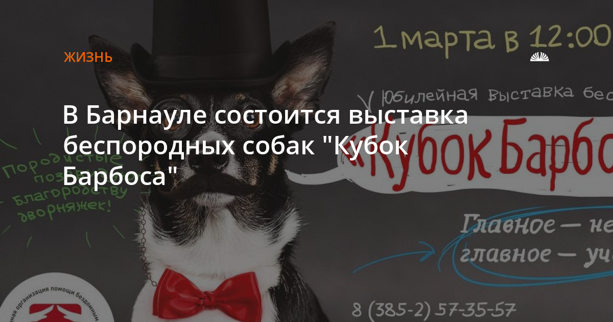 Барбосе Все Новые Серии 2022 Года