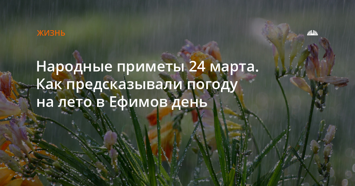 Народные приметы на 24 июня. 24 Июня день Варнавы приметы. Народный календарь 24 июня день Варнавы. 24 Июня Варнава земляничник картинки.