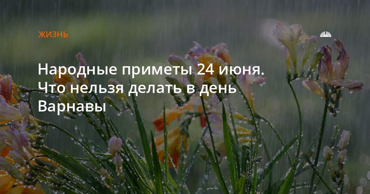 24 Июня день Варнавы приметы. Народный календарь 24 июня день Варнавы. 24 Июня Варнава земляничник картинки.