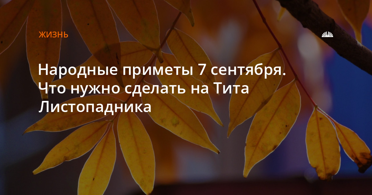 7 Сентября Новый Год 7 Сентября Новый Год