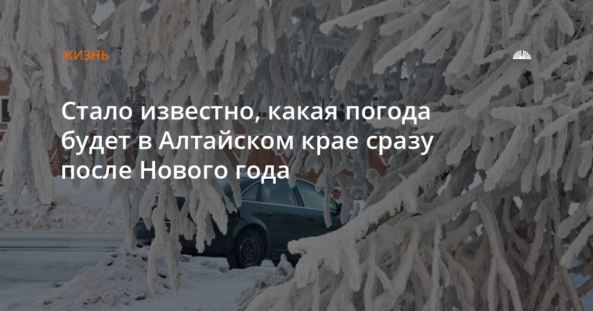 Гидрометцентр барнаул. Погода в Алтайском крае на 1 января. Температура в новогоднюю ночь 2001 в Алтайском крае. Алтай Гидрометцентр погода до нового года. Какая погода в Алтайском крае боль в голове.