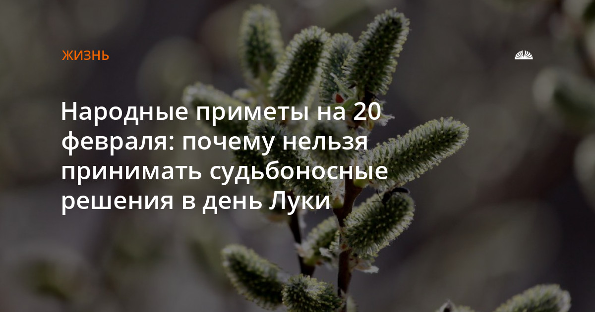 Почему в феврале мало дней. 20 Февраля народные приметы. 20 Февраля день Луки приметы. 20 Февраля приметы.