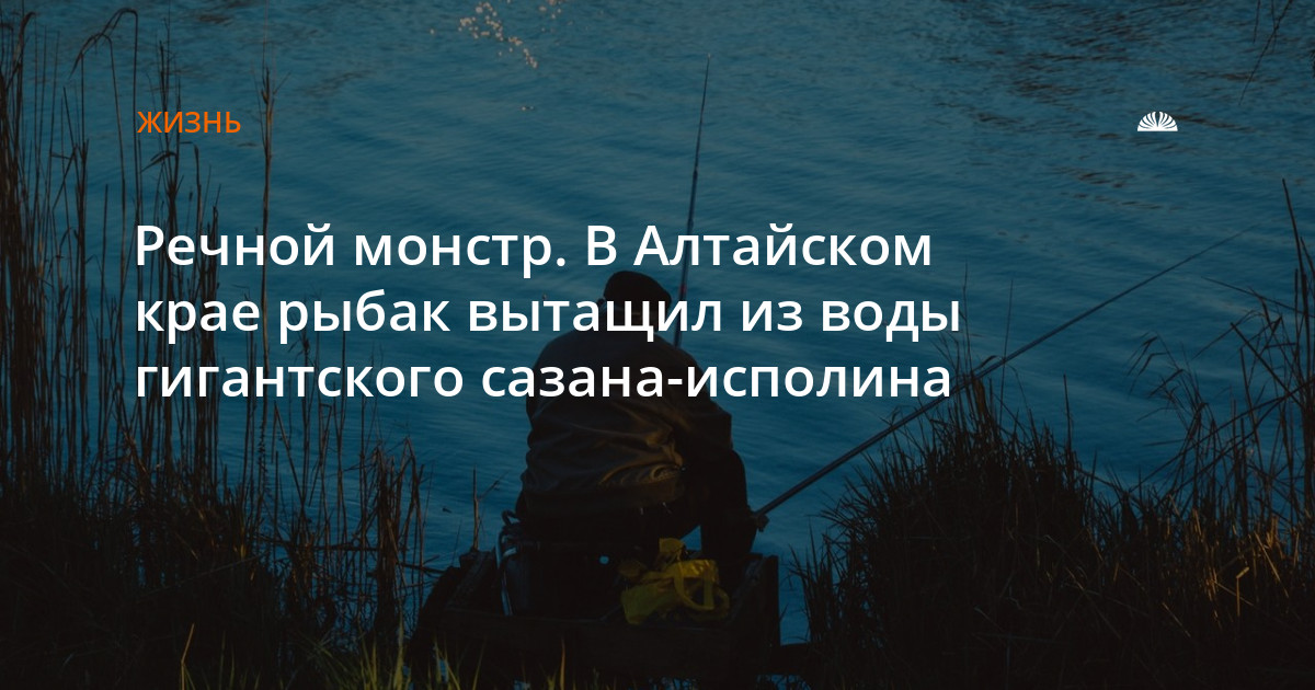 Рыбалка на сазана в Алтайском крае: секреты удачной ловли