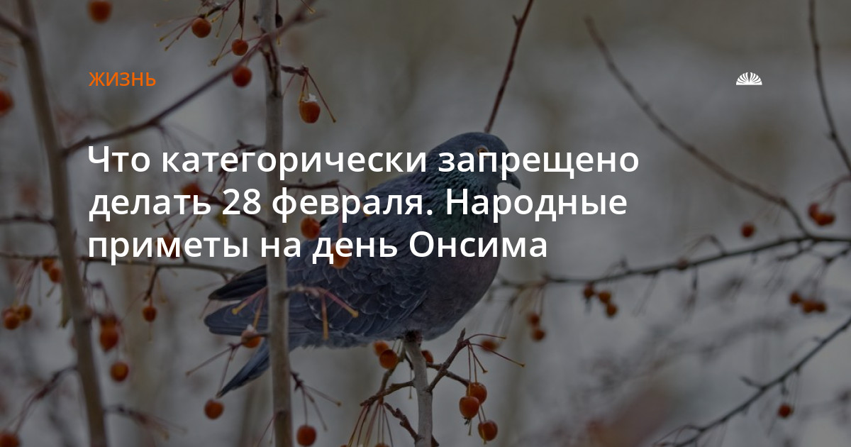 28 октября приметы