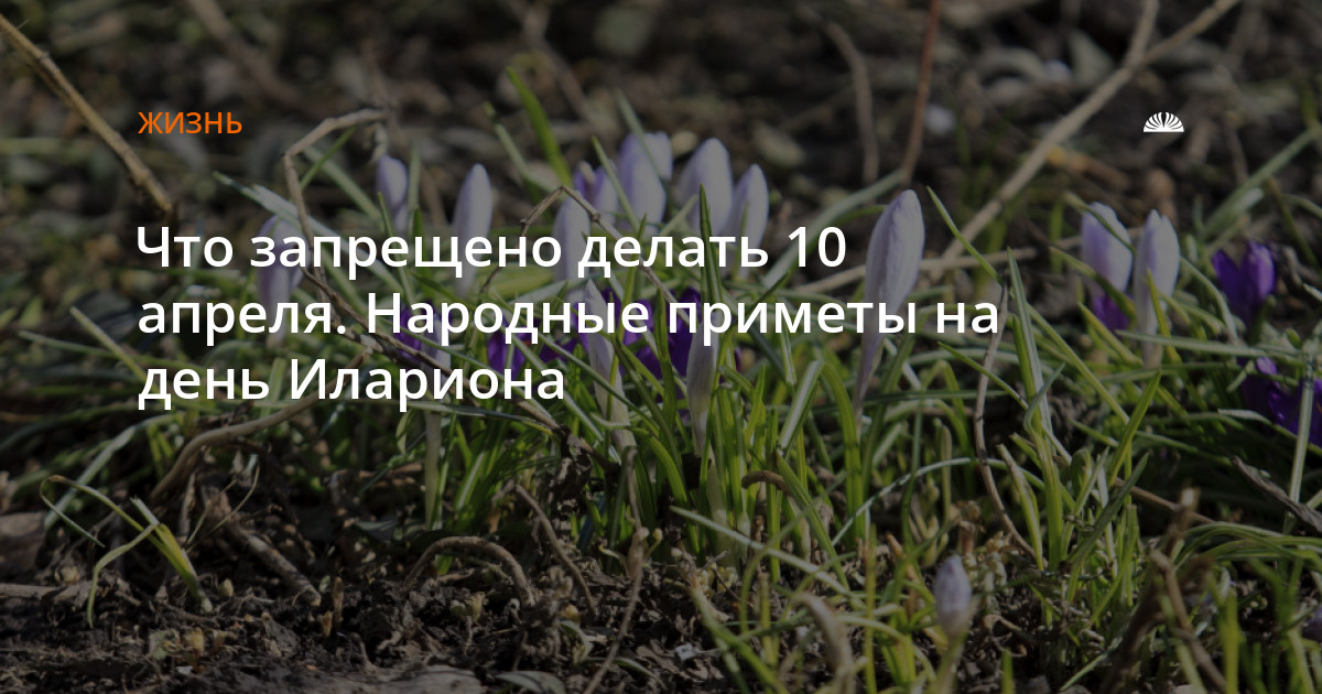 5 апреля какой праздник в россии. 10 Апреля приметы.