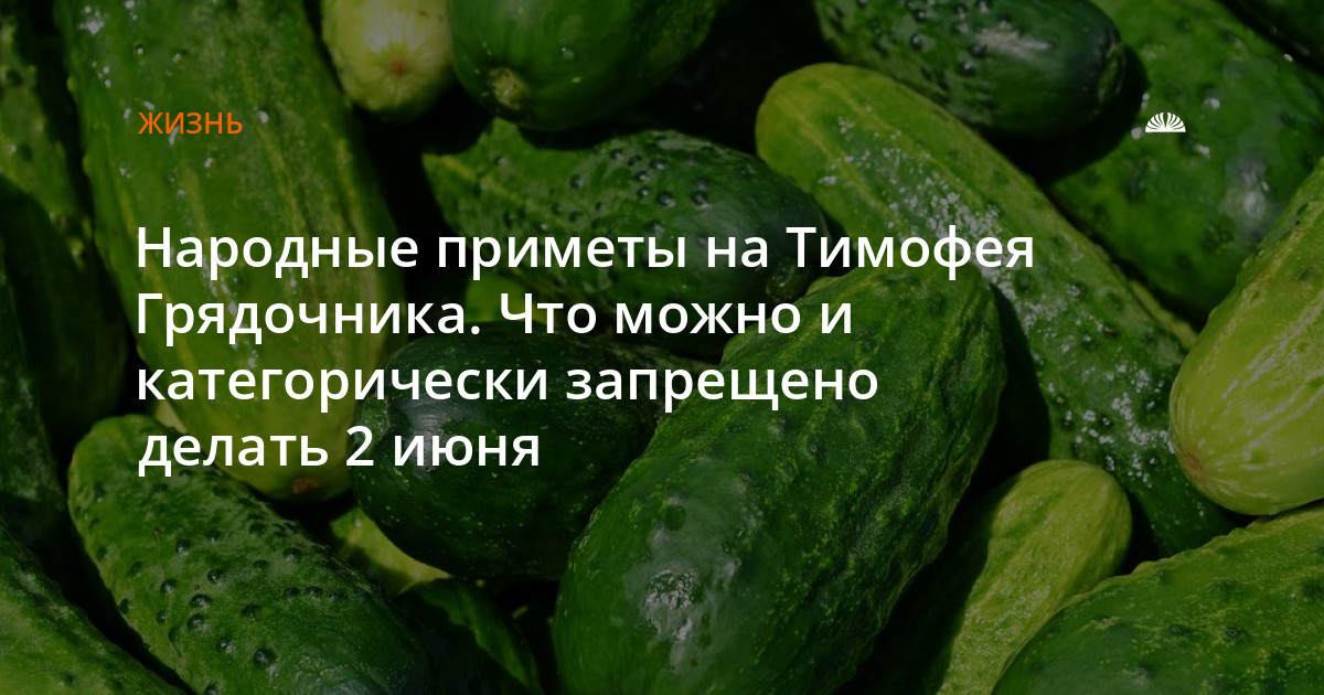 Картинки народный праздник тимофей грядочник