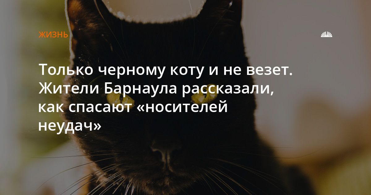 Не ищите черную кошку в темной комнате. Только черному коту и не везет.