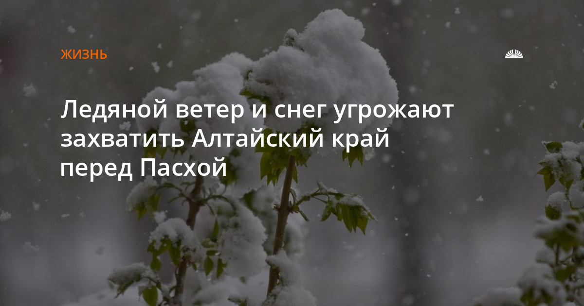 Гидрометцентр алтайского края погода