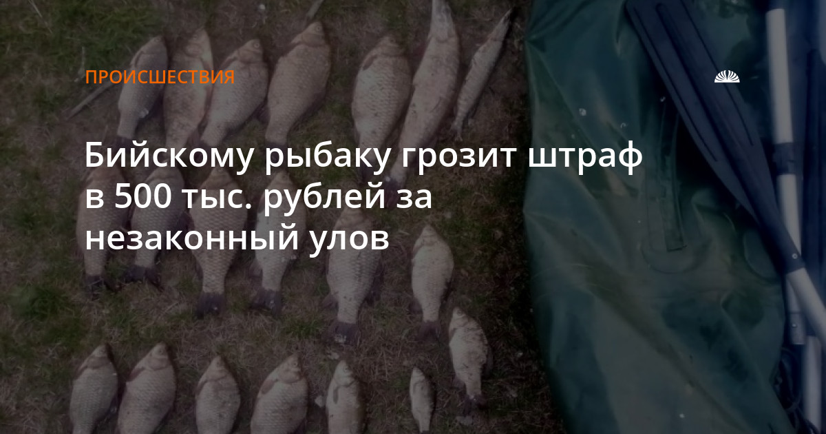 Запрет на рыбалку в алтайском крае 2024. Браконьерство рыбалка. Рыболовство в Алтайском крае.