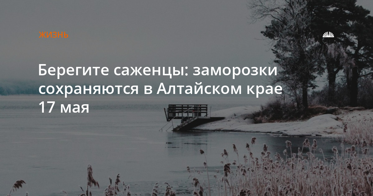 Мебель в алтайском крае