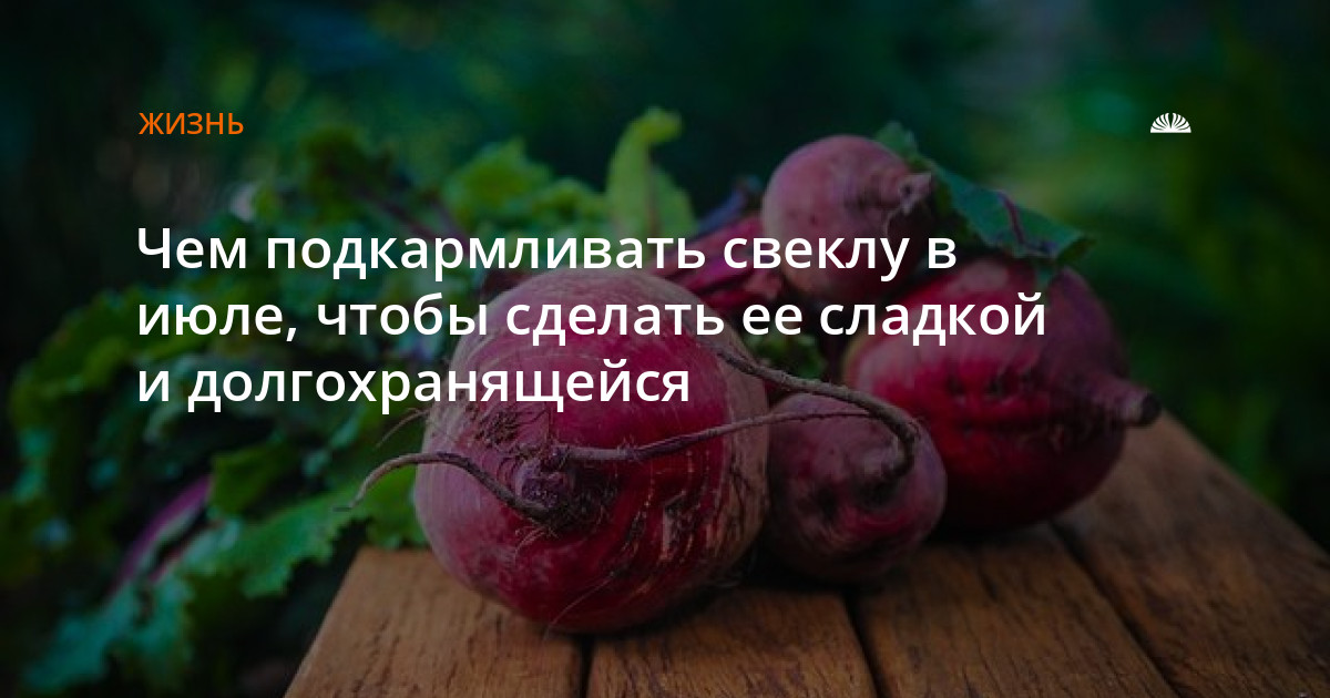 Белая свекла что с ней делать.