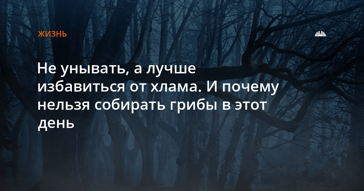 Новость: Не унывать, а лучше избавиться от хлама. И почему нельзя ...
