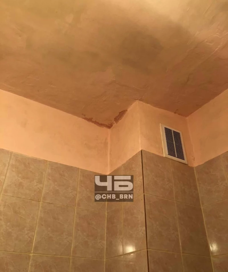 Барнаульцы жалуются на жизнь в гниющей из-за потопов многоэтажке. Фото