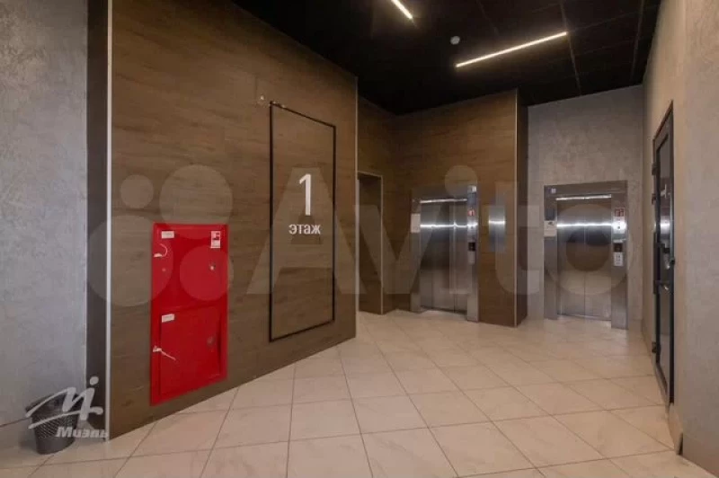 В Барнауле продают элегантное «Логово Джокера» с останками животных за 20 млн рублей